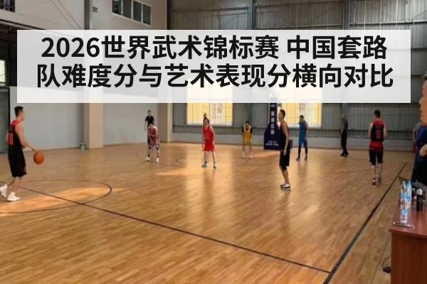 2026世界武术锦标赛 中国套路队难度分与艺术表现分横向对比
